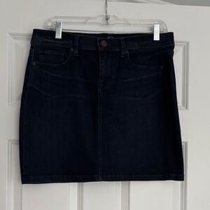 LOFT Dark Blue Mini Skirt